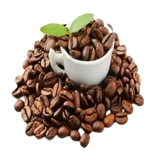 الشاي والقهوة